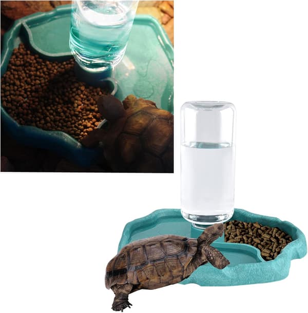 Skildpadde Vandskål, Foder Skål, Skildpadde Reptil Foder Skål, Automatisk Foder Dispenser