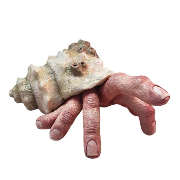Finger Eremitkrebs Skulptur Gyser Snegl Harpiks Ornament