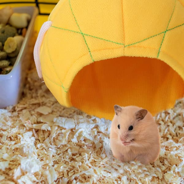 2 stk. Ananas Hængekøje Blød Hamsterhus Seng Dyr Hængende