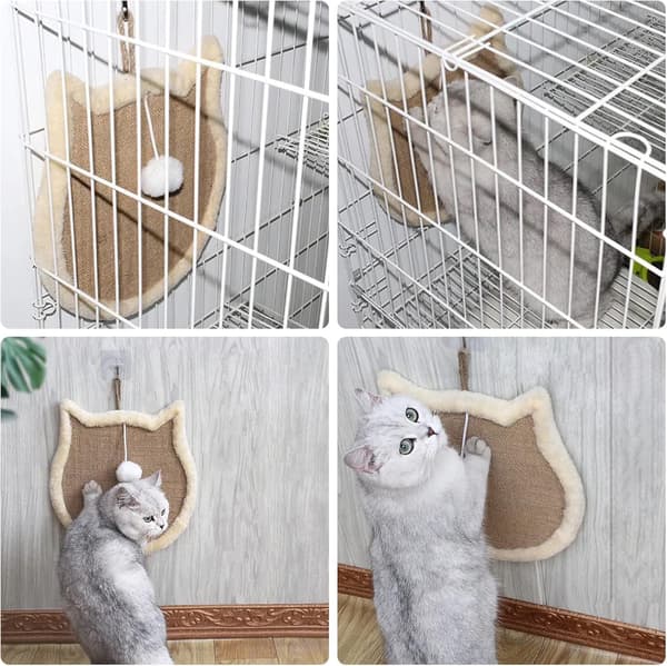 Katte kradse, kradse chat pap til katte skraber til katte i papskål i papskraber