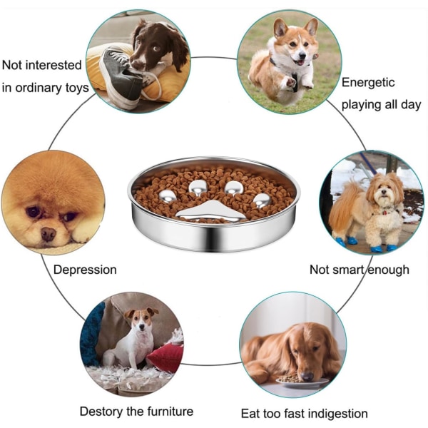 Antigluggande hund- och kattskål - Rostfritt stål, halkfri, långsam utfodring, främjar en hälsosam matsmältning