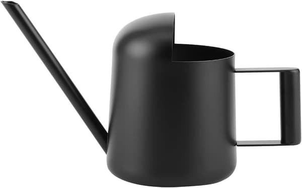 Lille vandkande, sort rustfrit stål med lang tud til vanding af stueplanter