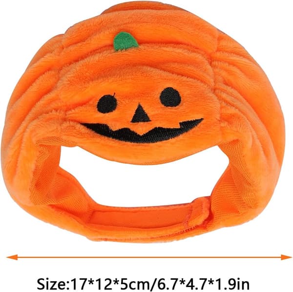 Halloween hundelue, katt gresskarhatt, Halloween hodeplagg (liten) s