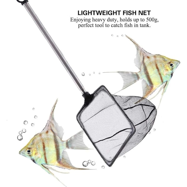 Hållbart akvarium teleskopiskt fiskenät (3 tum fyrkantigt) 1 st