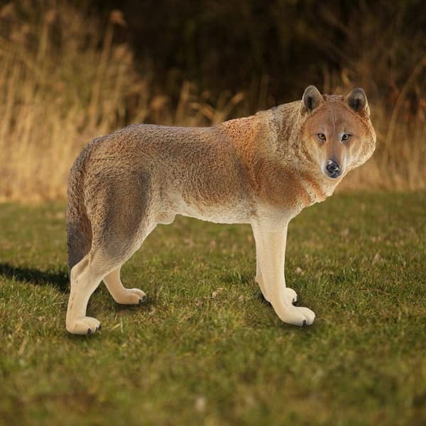Simulering vild ulv dyremodel legetøj zoo dyremodel samleobjekter (brun) brown