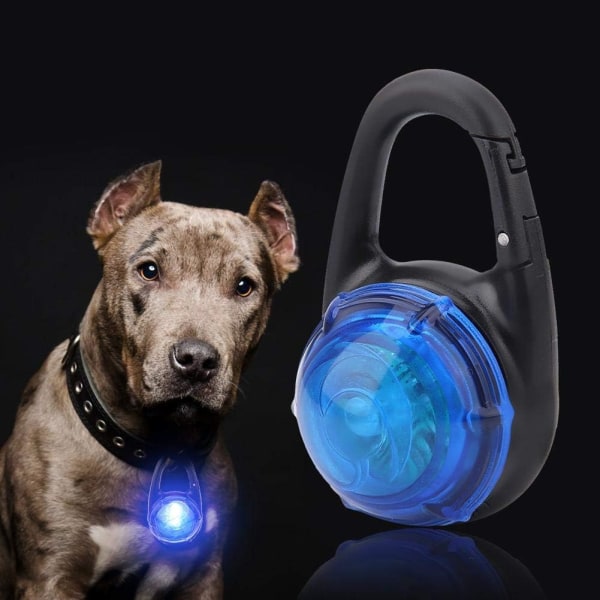 LED-hundhalsband med lysande nattpromenad, säkerhetshänge, hundhalsband, lysande krage (blå) blue