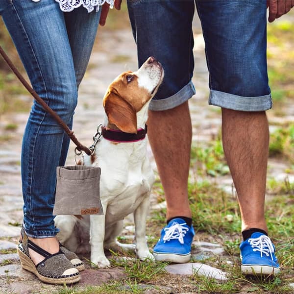 Slet til hunde, foderpose hundetræning, bomuldspose, vandtæt godbid til små hunde med karabinhager, grå