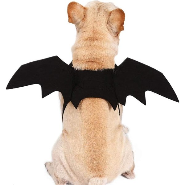 Halloween sällskapsband Bat Wings Hundfest Cosplay kostymtillbehör (L) l