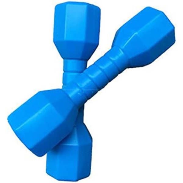 2st/ set Handhantlar i plast, träningsstänger för hemmagym, träningsleksaker för barn, fitness sportleksaker (blå)
