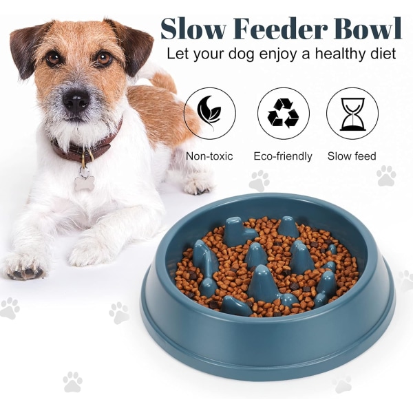 Pet Anti-Choke Slow Food Bowl Hundförtjockningsmatare Husdjursförråd (blå) Blue