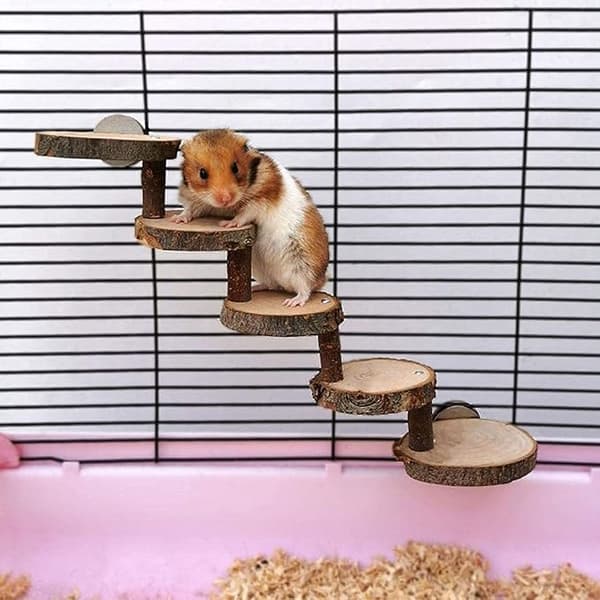 Hamsterin harjoituslelu, puinen hamsterin kiipeilylelu
