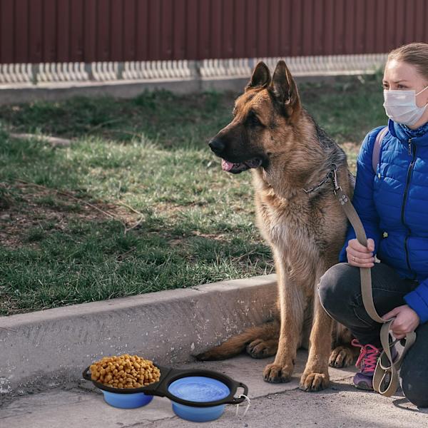 700 ml 2 i 1 hopfällbar hundskål, matskål, bärbar hundskål