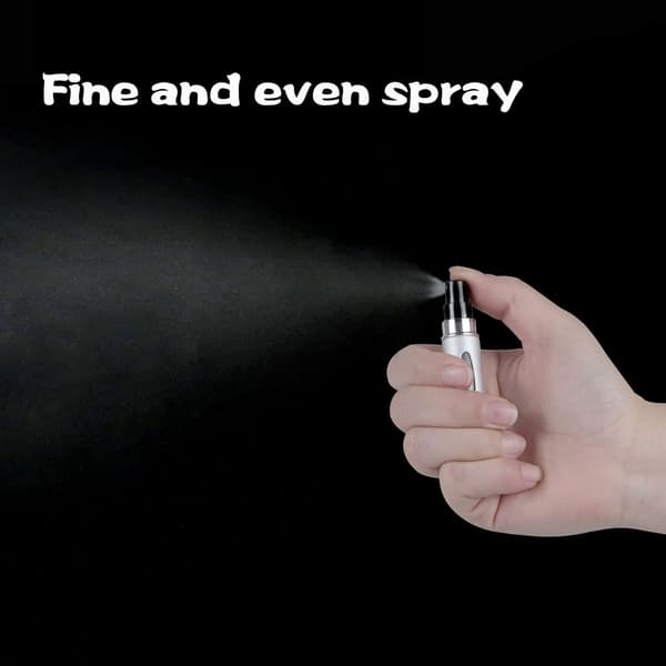 2 stk. påfyllbare parfymeflasker, bærbare mini separate parfymeflasker, reise- og utfluktspraydispensere 5 ml/0,2 oz (sølv) Silver
