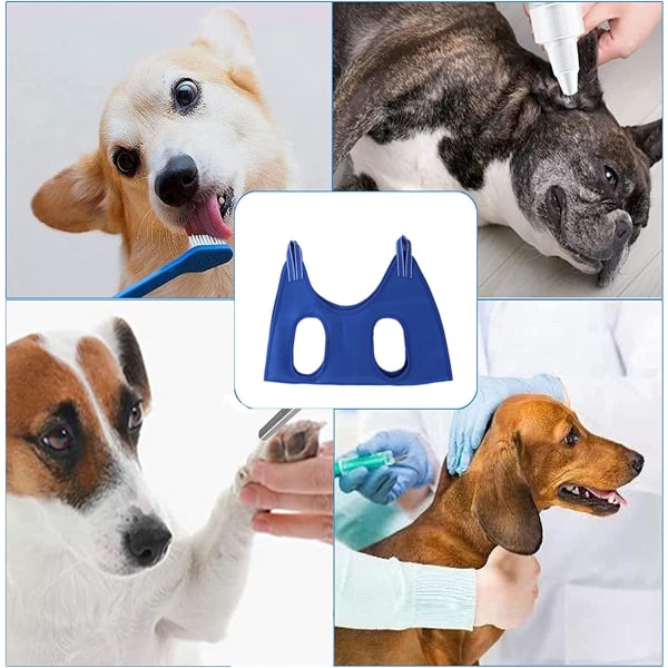 Tillbehörssats för hängmattor för hundtrimmning, hängsele för hängande väska för husdjursutrustning (blå, L) blue l