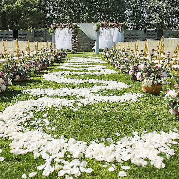 4000 stycken elfenbensfärgade sidenrosblad konstgjorda blommor bröllopsfestdekorationer