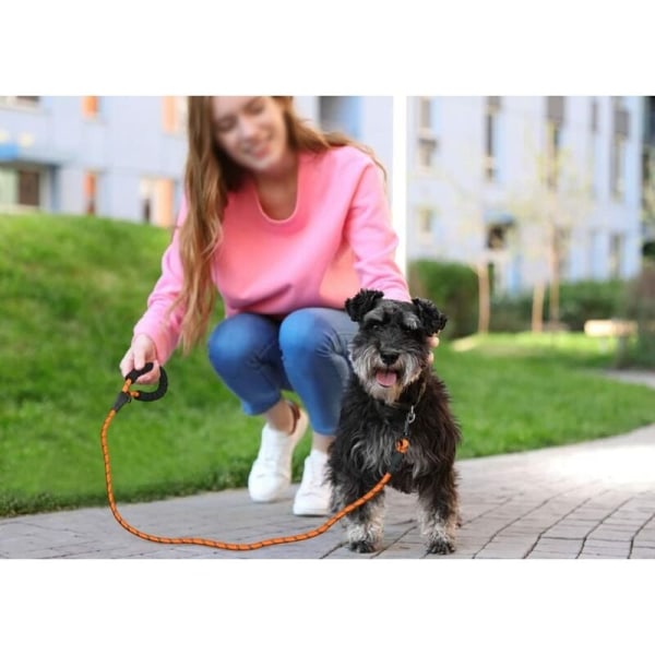 Hundlina i rep, hundledning i nylon med mjukt vadderat handtag och reflekterande trådar för valpar och små hundar, 150 cm x 1,2 cm, orange