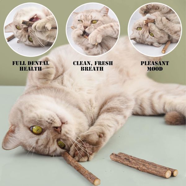 Katt Catnip Leksaker för Katter, Katt Leksak Pinne Naturlig Kattunge Tugga Leksak Tandvård Tandspricka Pinne för Katter, Pack om 20 st