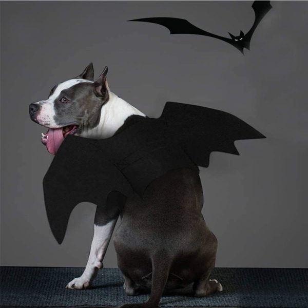 Halloween sällskapsband Bat Wings Hundfest Cosplay kostymtillbehör (L) l