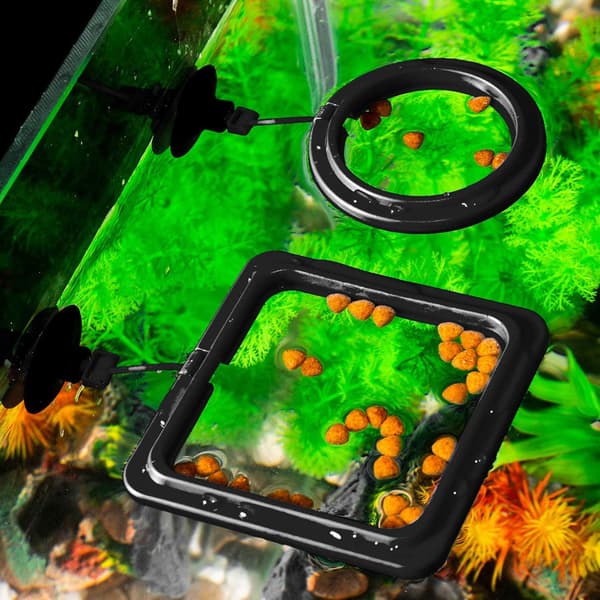 2 stk. sort fiskefodringsring akvarium fisketank havbrugsfisk flydende foderfoder cirkel
