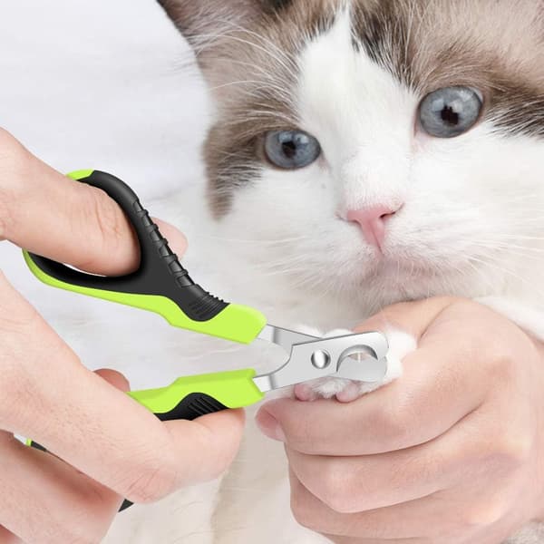 Negleklipper for små kjæledyr, hunde-/kattenegleklipper