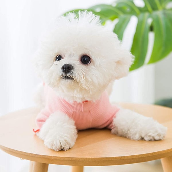 (XS)Hund T-shirts Sommarkläder, stickad väst i mjuk bomull för husdjur XS