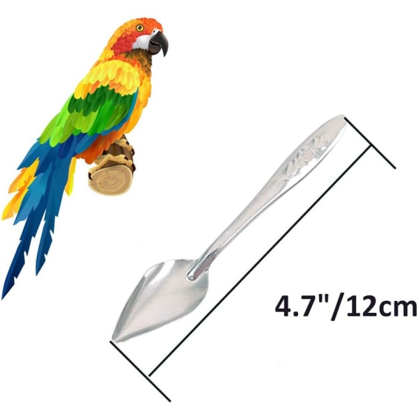 5 st fågel papegoja matare sked rostfritt stål mjölk medicin papegoja matningssked 4,7\"