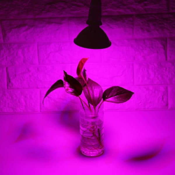 Vækstpære, E27 200-LED Plantelys 20W Plantevækst Hydroponiske Lys til Indendørs Planter