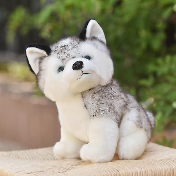 Lahjoja lapsille, Siperianhusky, pehmonukke – 25 cm 25cm