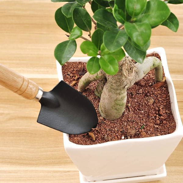 3-delad miniträdgårdsredskapssats Bonsai klo rake spade trähandtag handverktyg