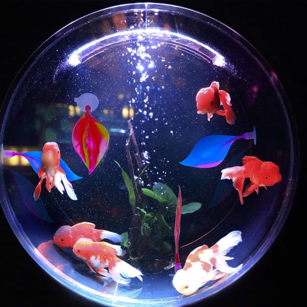 Betta Bed Leaf Hängmatta Silikon Betta Fish Resting Leaf, No BPA 4 st