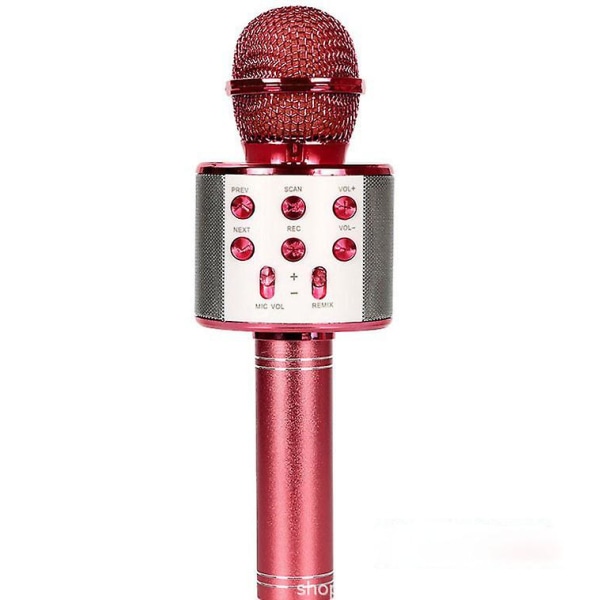 5 i 1 Barn Bluetooth Mikrofon med Högtalare, Bärbar Mikrofon Leksak（röd） Red