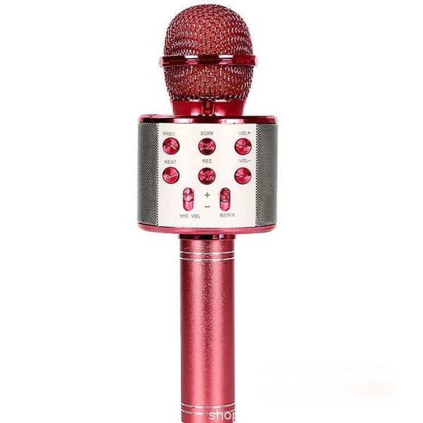 5 i 1 barns Bluetooth mikrofon med högtalare, bärbar mikrofonleksak (röd) Red
