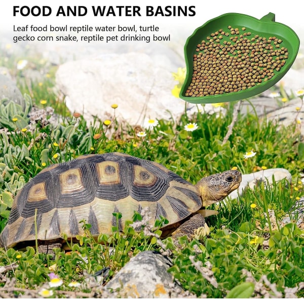 2st lövformad reptilmatvattenskål, landsköldpaddstillbehör, platt sköldpaddsvatten