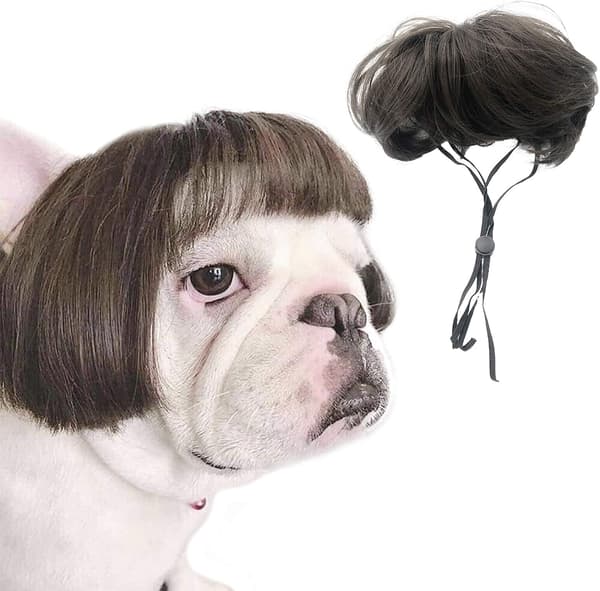 Kjæledyrparykk, hodeplagg, egnet for store, mellomstore og små hunder (rett hår)