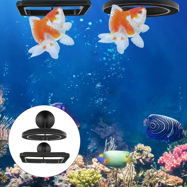 Fiskefodringsring, 2 stk. akvariefisk skildpadde tank tilbehør Foderfoder Cirkel (sort)
