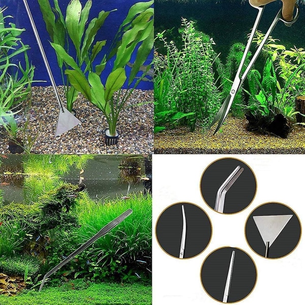 Akvarieverktyg för akvarium Rostfritt stål saxklämma 5-pack