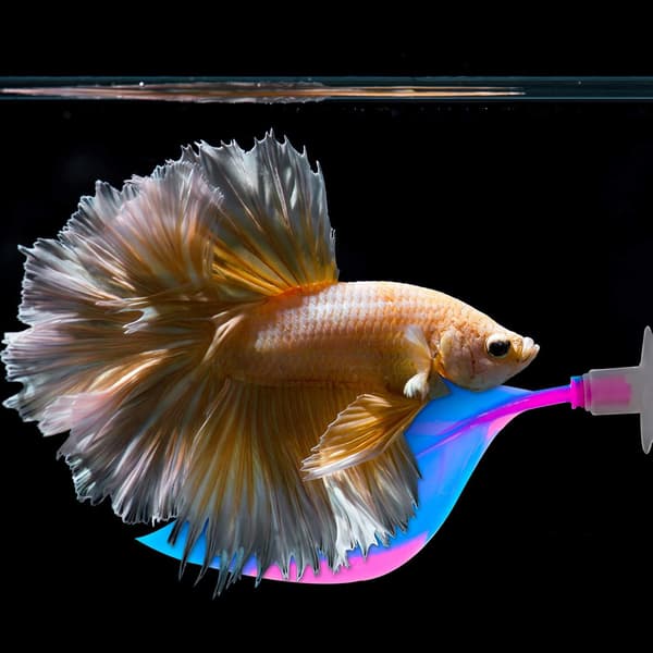 Betta-sängyn lehtiriippumatto silikoninen Betta-kalan lehtilepo, ei BPA:ta, 4 kpl