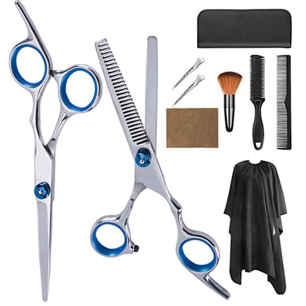 Professionella hårsaxar set, 10 delar saxar kit för hem, salong