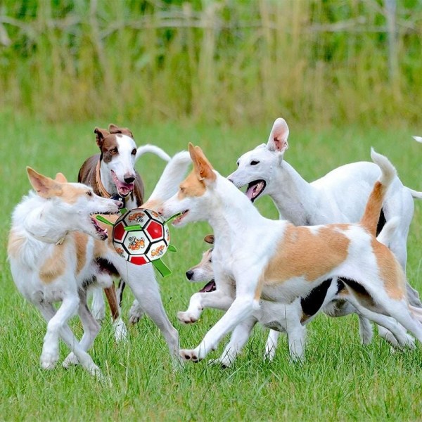 Hundleksak Oförstörbar Hundboll Okrossbar Hundboll Hundboll Interaktiva Hundbollar Hundar leker inomhus och utomhus, skicka luftpump