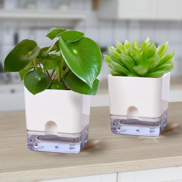 Örtkruka Köksset Fönsterbräda Självbevattning 3 Örtkruka Blomma