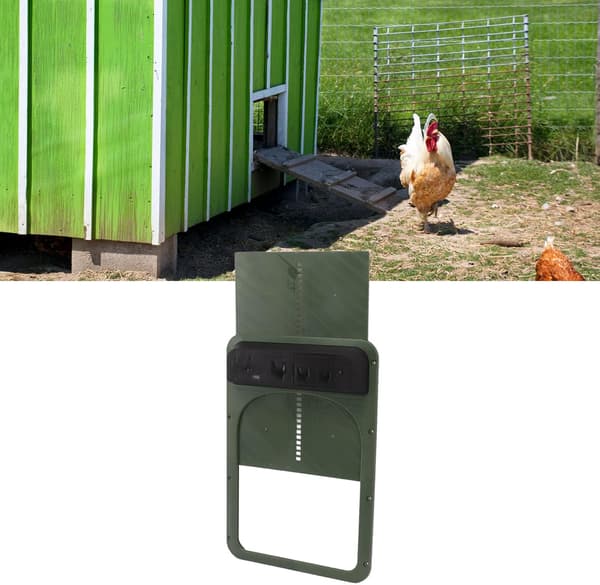 Automatisk døråpner for hønsehus, lyssensor, solid plast for hjemmet (olivengrønn) Green