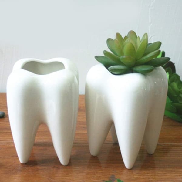 2 stk. mini tannpotter keramiske sukkulentpotter/blomsterbeholdere