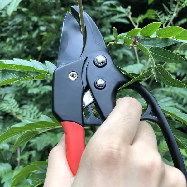 NineClouds Rack beskærersaks med ambolt og automatisk skralde, hækkesaks til grene