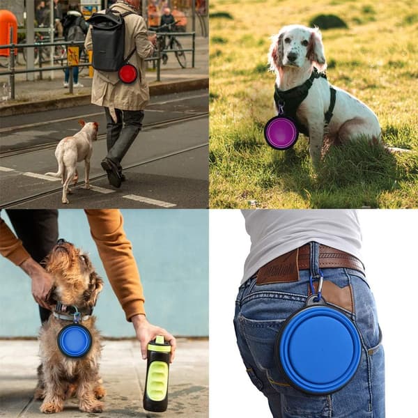 Hopfällbara hund- och kattmatskålar för resor med karbinhake (4-pack)