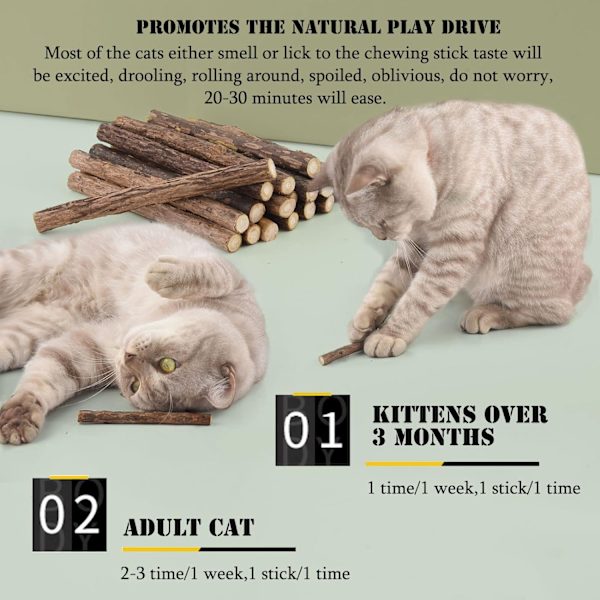 Katt Catnip Leksaker för Katter, Katt Leksak Pinne Naturlig Kattunge Tugga Leksak Tandvård Tandspricka Pinne för Katter, Pack om 20 st