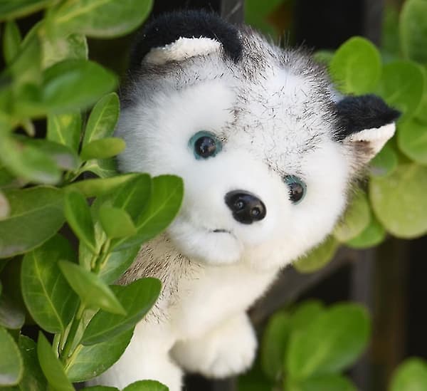 Lahjoja lapsille, Siperianhusky, pehmolelu – 30 cm 30cm