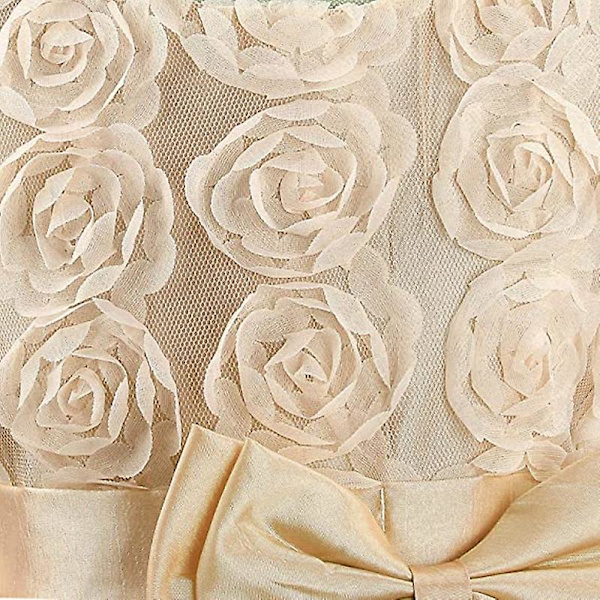 Flickor Mesh Båge Klänning Båge Ärmlös Tulle Spets Flickor Klänning (Beige, 110CM) beige 110cm