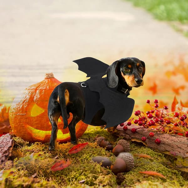 Halloween flagermusvinger kæledyrskostumer til hunde katte Halloweenfest medium m