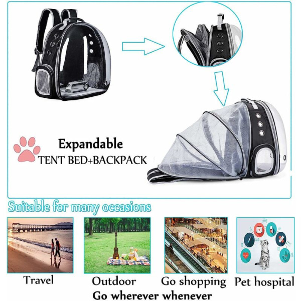 Expanderbar hundkattryggsäck, andningsbar liten hundkattbärväska, transparent ryggsäck