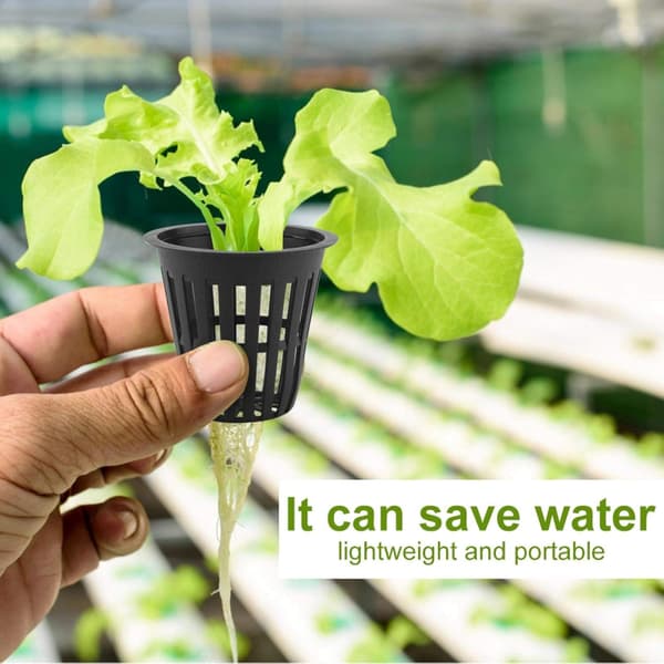 Havenetkop, plastik hydroponics netpotkurv hydroponisk plantenet, 2 tommer (sort) black